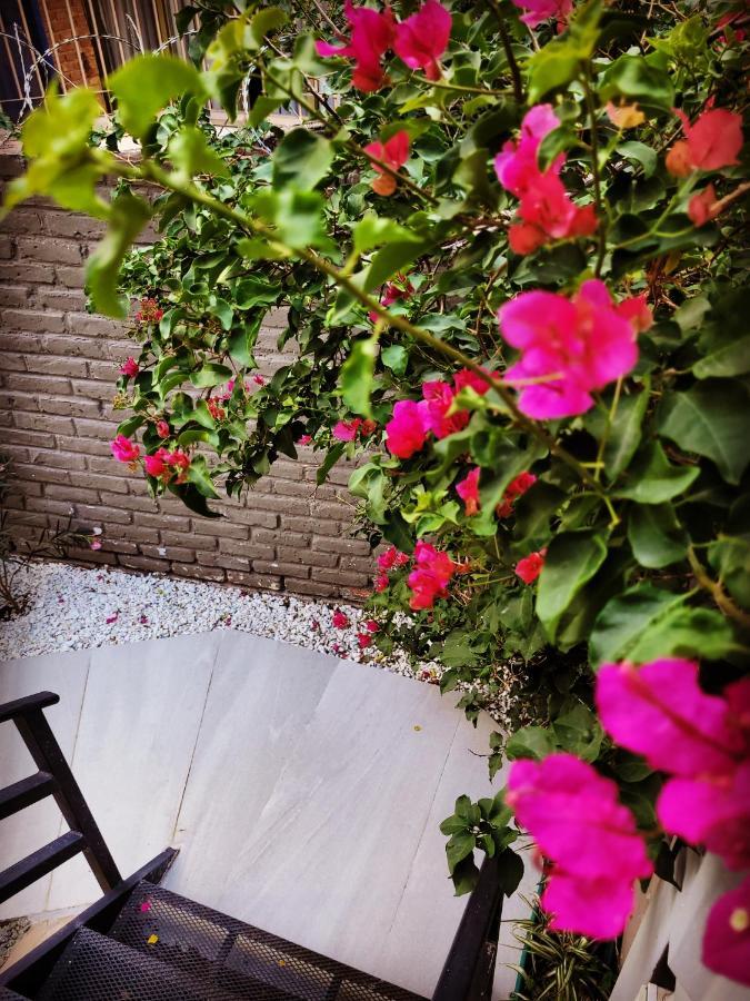 "Casa Amalia Apartamentos" Plaza Italia Y Av Aristides A 50Mts, Lugar Con Jardin Mendoza Kültér fotó